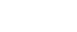 DISO-Group Logo